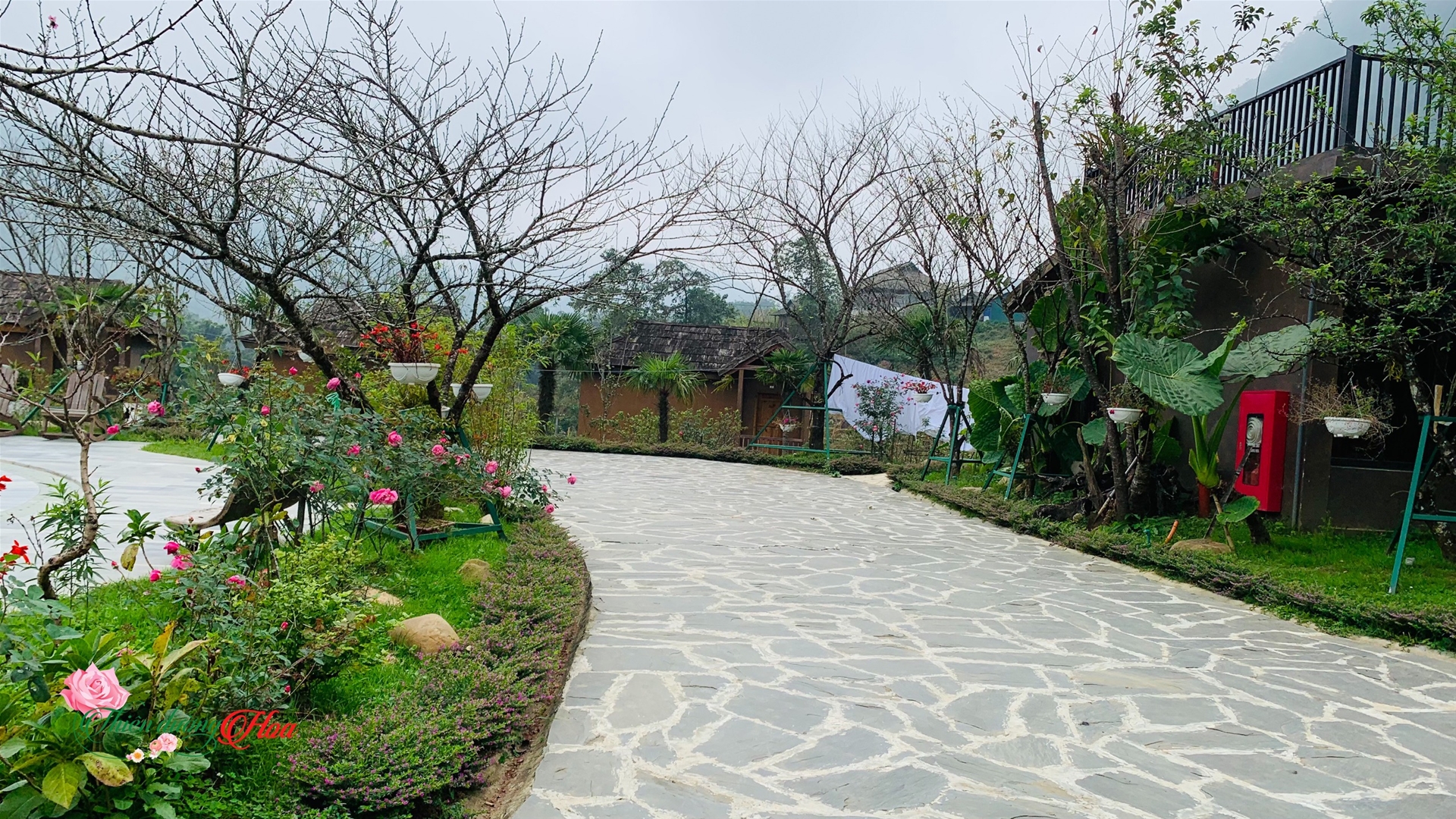 homestay nghỉ dưỡng 
